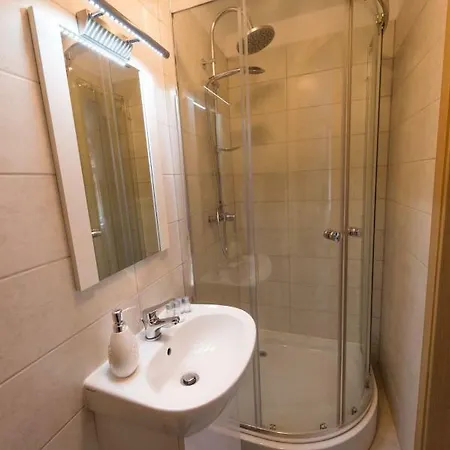 公寓 Casa Witting 布拉索夫